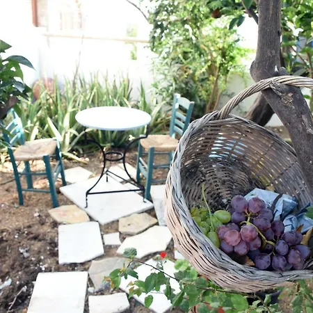 The Garden House *